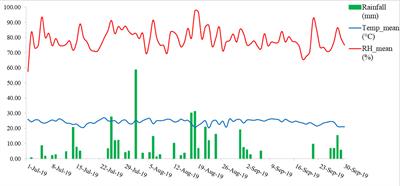 Spectral characterization and severity assessment of rice blast disease using univariate and multivariate models